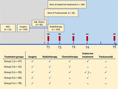 Longitudinal Changes in Circulating Metabolites and Lipoproteins After Breast Cancer Treatment